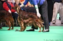 Crufts2011 558